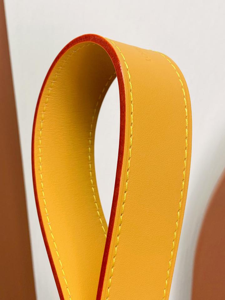 Louis Vuitton Alma Carryall MM in Tela Monogram