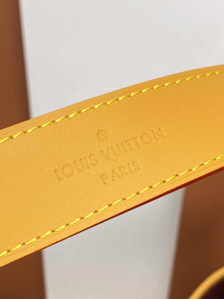 Louis Vuitton Alma Carryall MM in Tela Monogram