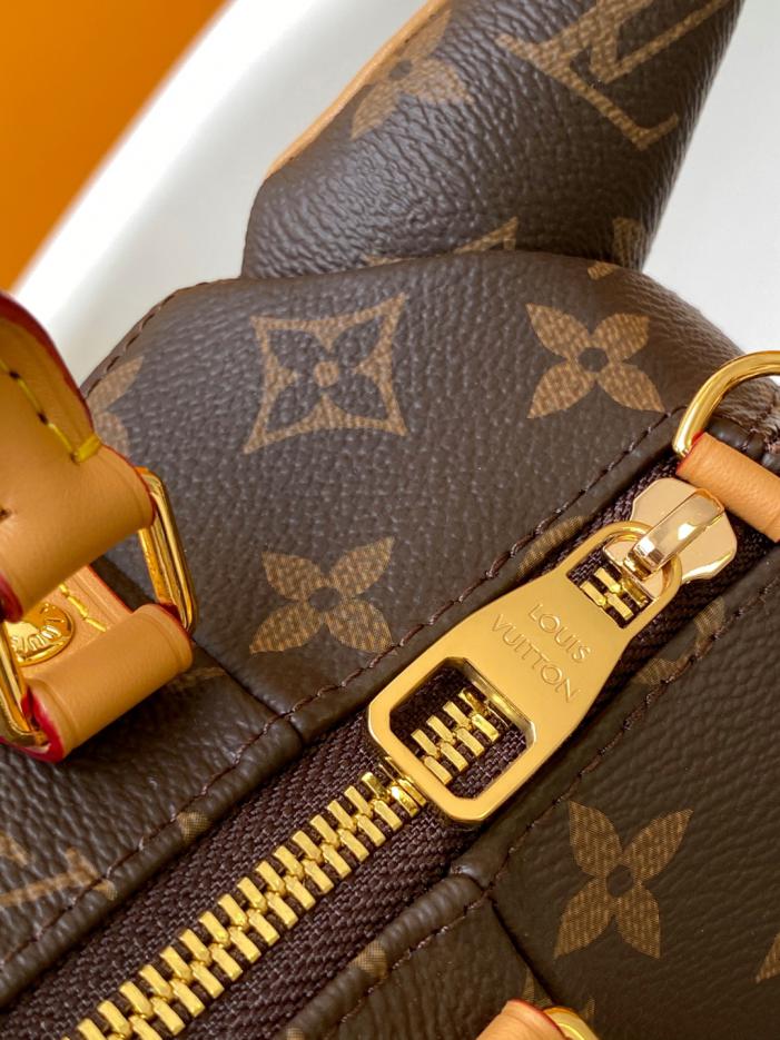 Borsa a mano Louis Vuitton Top originale con fasciatoio dinamico