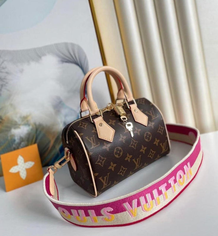 Louis Vuitton Speedy 30 in Tela Monogram